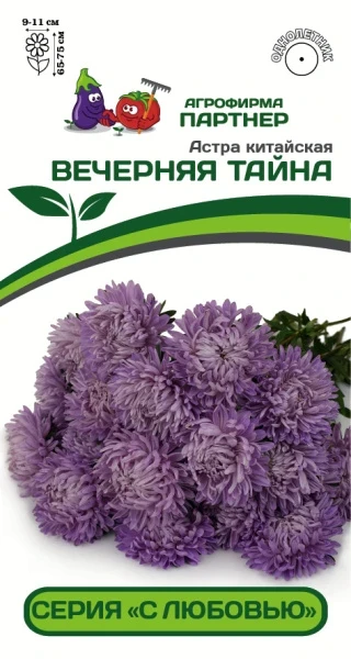 Партнер Астра китайская ВЕЧЕРНЯЯ ТАЙНА ^(5шт в амп), изображение 0
