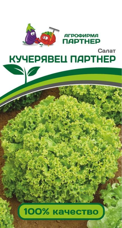 Партнер Салат КУЧЕРЯВЕЦ ПАРТНЕР ^(1г), изображение 0