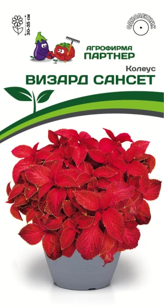 Партнер Колеус ВИЗАРД САНСЕТ / шлемниковидный ^(10шт) 2-ной пак, изображение 0